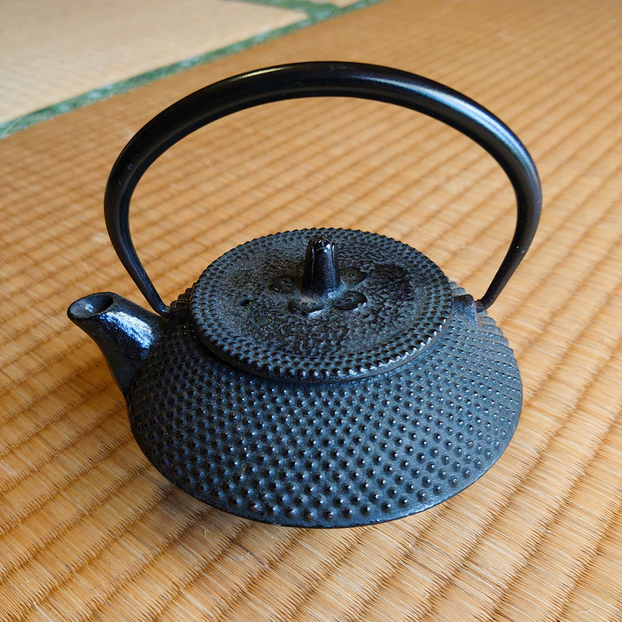 Iron teapot - Tetsubin